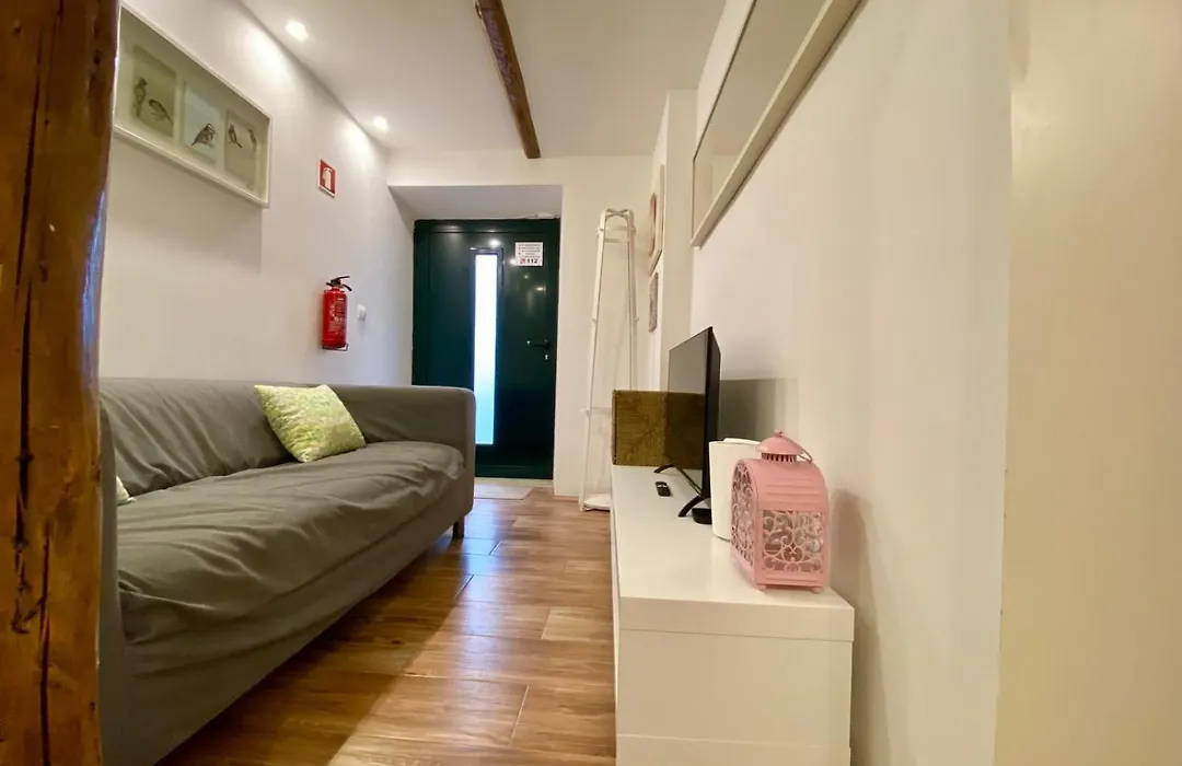 In Lisbon Green Studio-1
